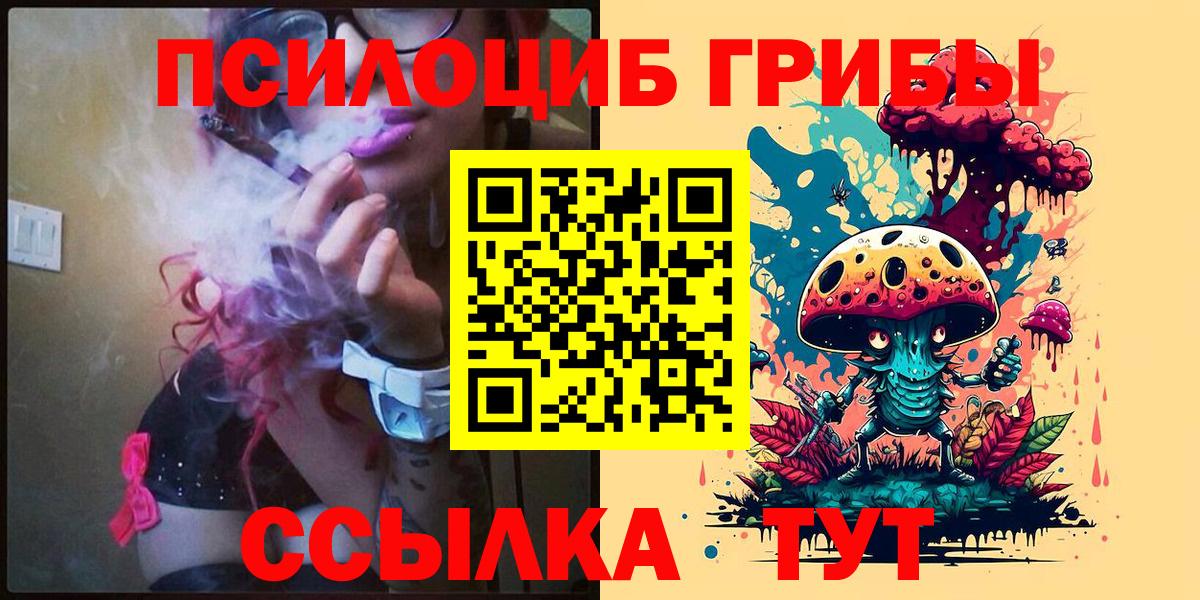 Псилоцибиновые грибы Cubensis  Вход с VPN  Назарово 